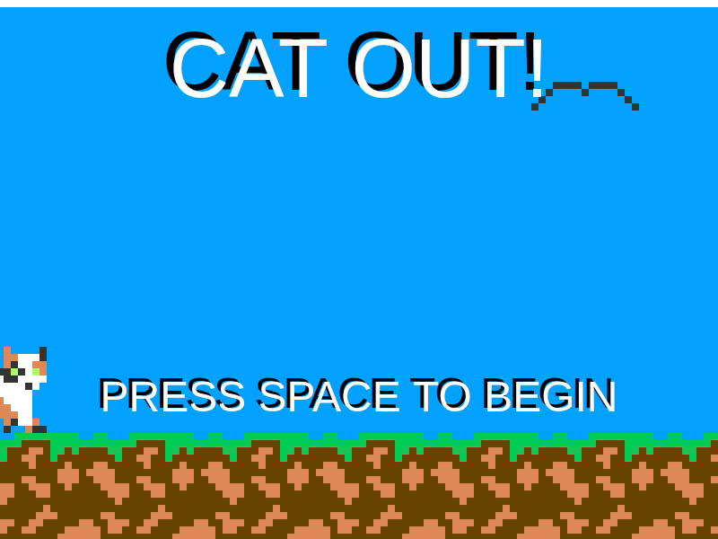 Cat Out