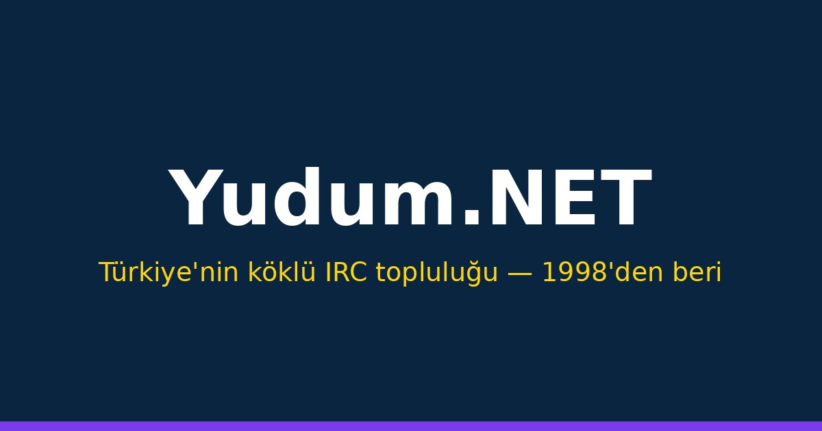 Dijital Dönüşümde İnsan ve Kültür: İnternet Nasıl Yeniden Şekillendiriyor?