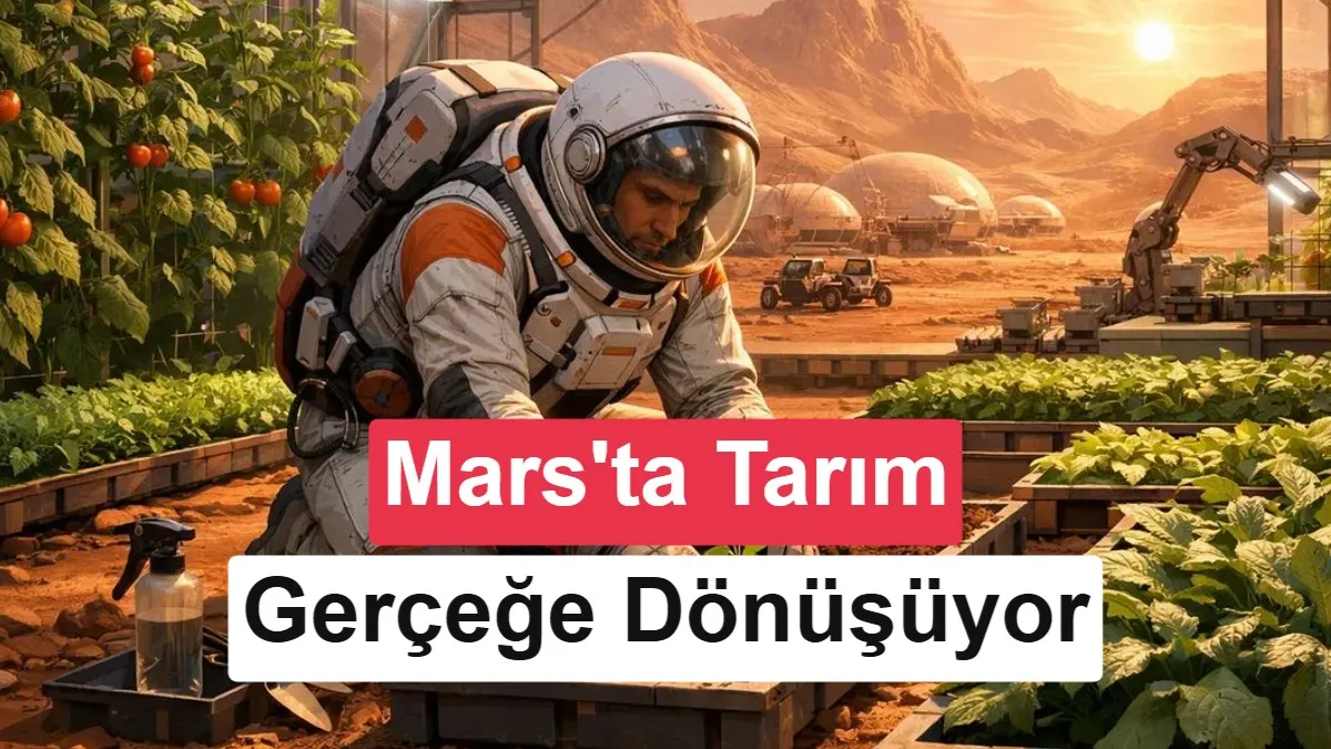 Mars’ta Tarım Devrimi: Mantarlar, Kızıl Gezegen’in Ölü Toprağını Verimli Tarlalara Dönüştürüyor