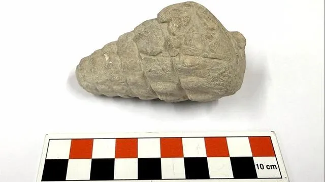 Ankara’da 66 Milyon Yıllık Tetis Denizi Fosili: Hatti ve Hitit Kentinin Külhöyük’teki Büyüleyici Bulunuşu