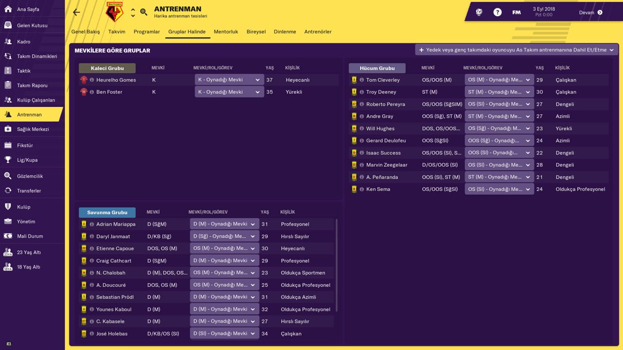 Football Manager 2019 ekran görüntüsü 5