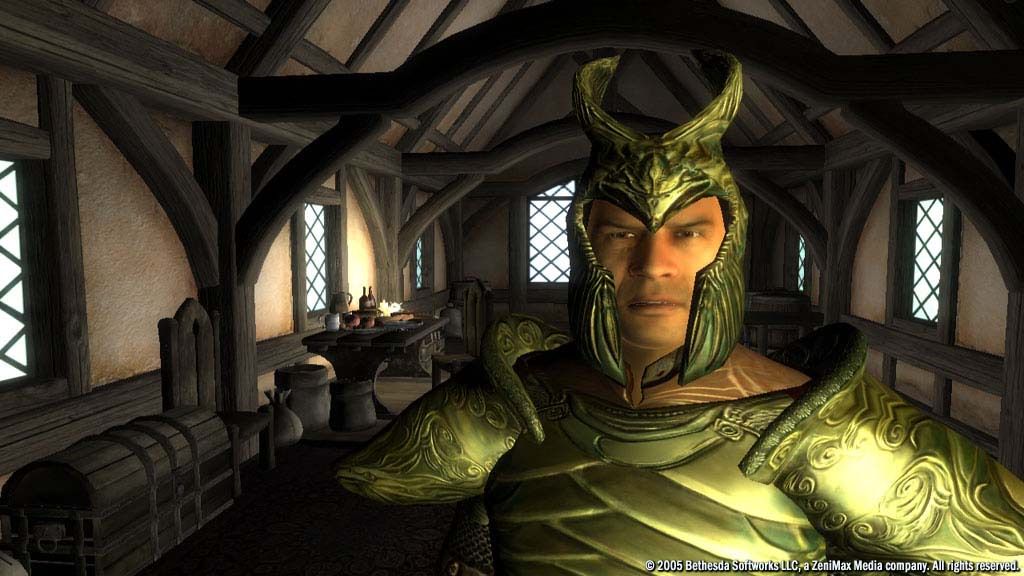 The Elder Scrolls IV: Oblivion® Game of the Year Edition (2009) ekran görüntüsü 6