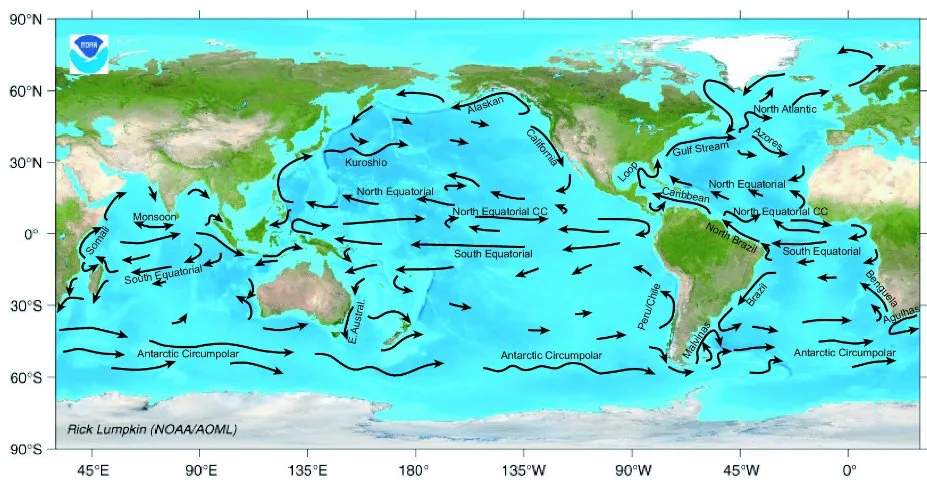 NOAA'nın yüzey akıntıları haritasında Gulf Stream, Kuzey Amerika kıyısından kuzeydoğuya kıvrılıp Avrupa'ya doğru uzanıyor