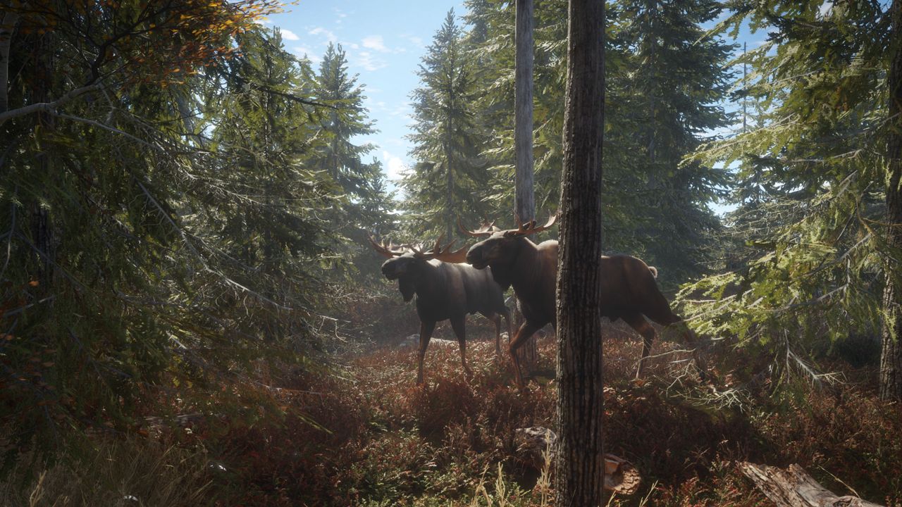 theHunter: Call of the Wild™ ekran görüntüsü 0