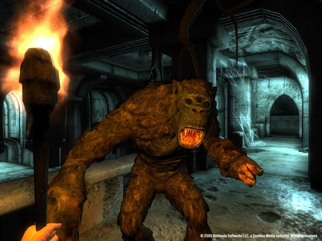 The Elder Scrolls IV: Oblivion® Game of the Year Edition Deluxe (2009) ekran görüntüsü 5