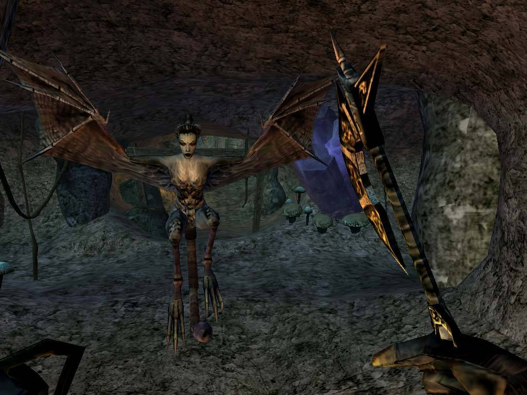 The Elder Scrolls III: Morrowind® Game of the Year Edition ekran görüntüsü 5