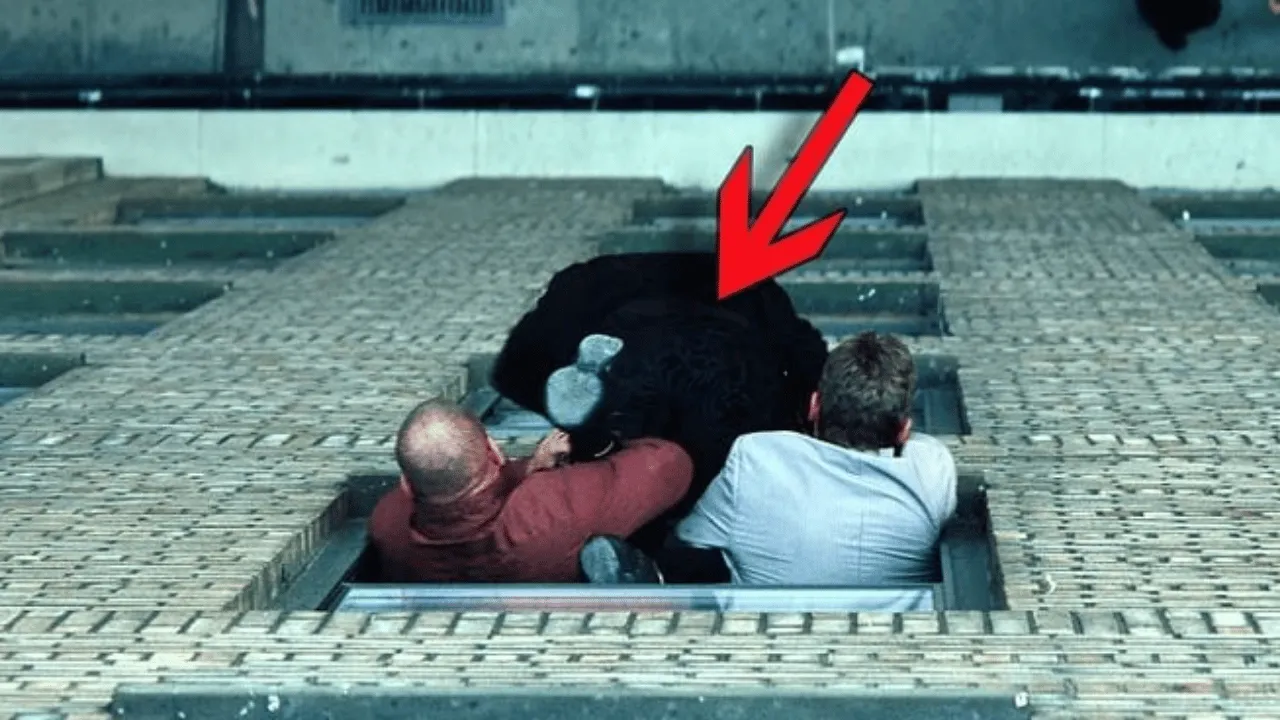 Bilimsel Araştırma Sinemanın En Çok Nefret Edilen Oyuncusunu Ortaya Çıkardı: Adam Sandler Zirvede