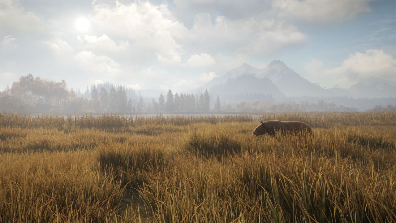theHunter: Call of the Wild™ ekran görüntüsü 1