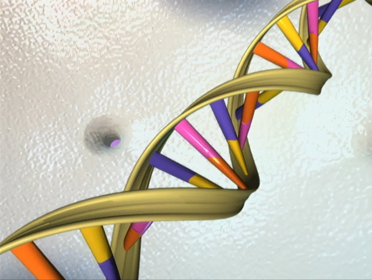 İki DNA sarmalı fermuar gibi kenetlenirken ilk kez görüntülendi