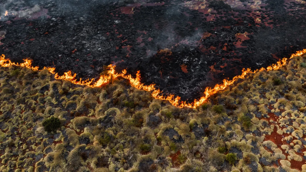 UNEP, 1,5°C Hedefinin Kaçırıldığını Resmi Olarak Duyurdu: Paris Anlaşması’nın Geleceği Tehlikede