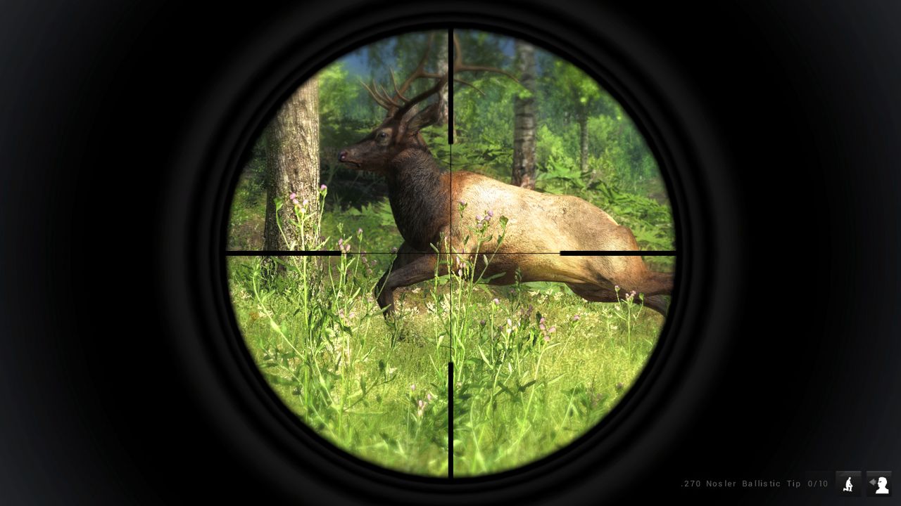 theHunter Classic ekran görüntüsü 6