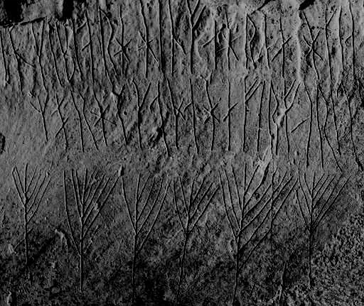 Maeshowe mezar odasının duvarına kazınmış rün yazıtlarından bir kesit