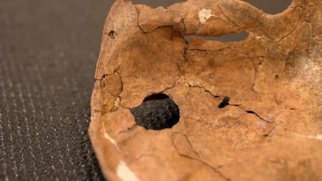 75.000 Yıllık Neandertal'in Kalbine Saplanan Mızrakla Ölümü: Tarihin En Eski Şiddet Kanıtlarından Biri mi?