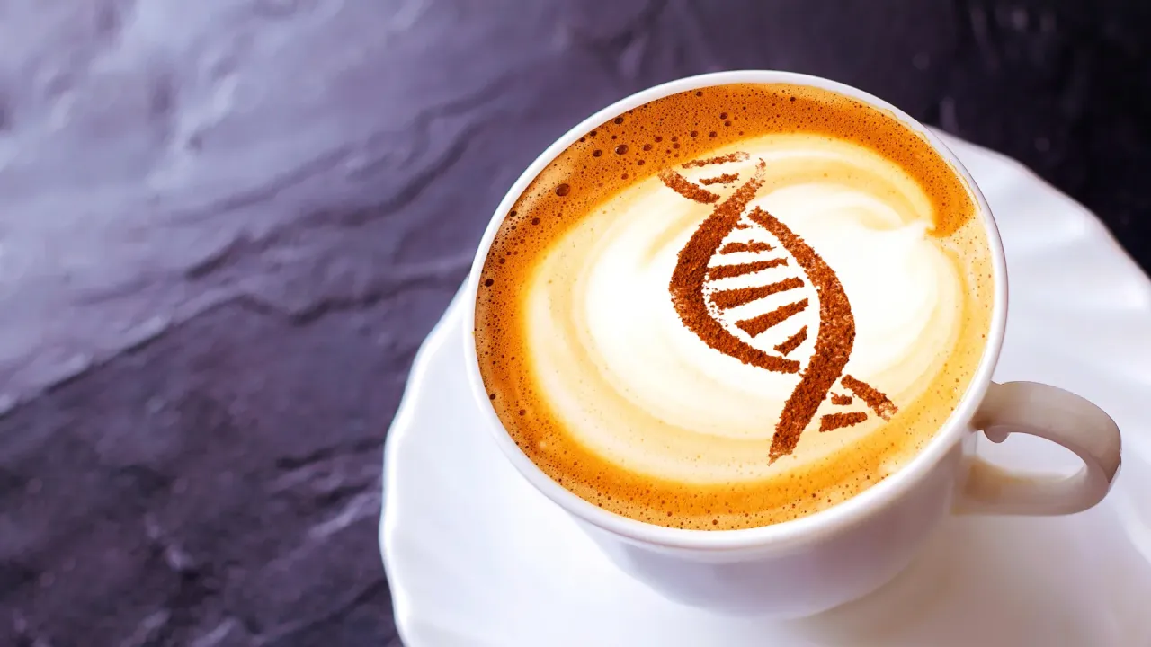 Kahve Molekülü AMPK Anahtarını Açıyor: Yaşlanma ve DNA Onarımında Yeni Bir Yol