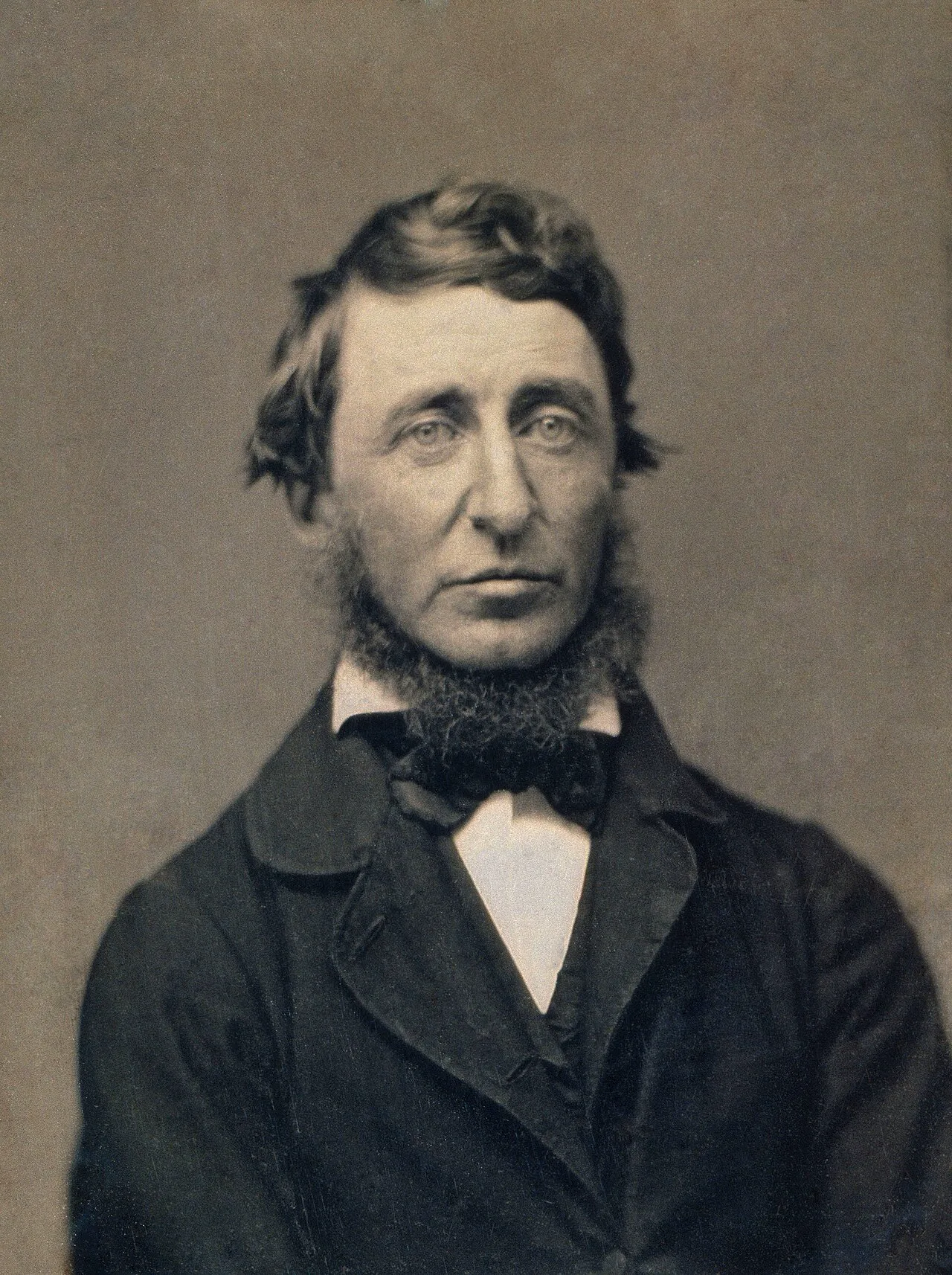 Üç sandalyeli kulübe: Thoreau'nun dostluk üzerine kendi sözleri