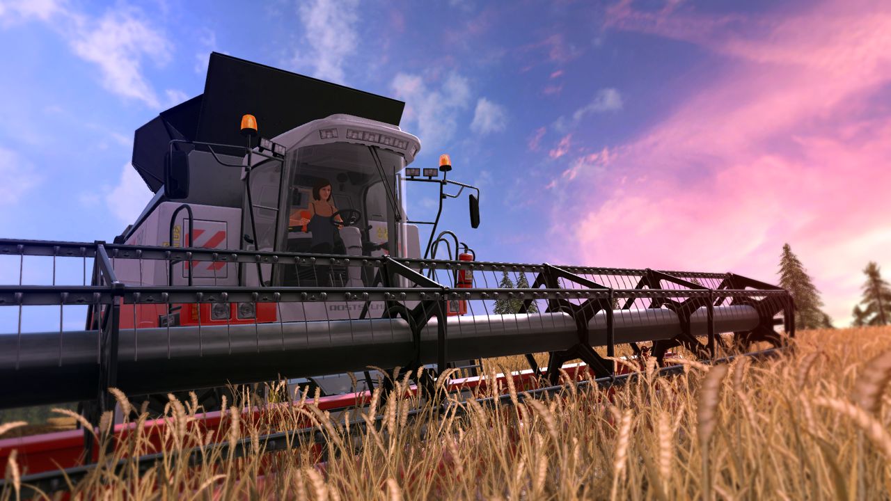 Farming Simulator 17 ekran görüntüsü 6