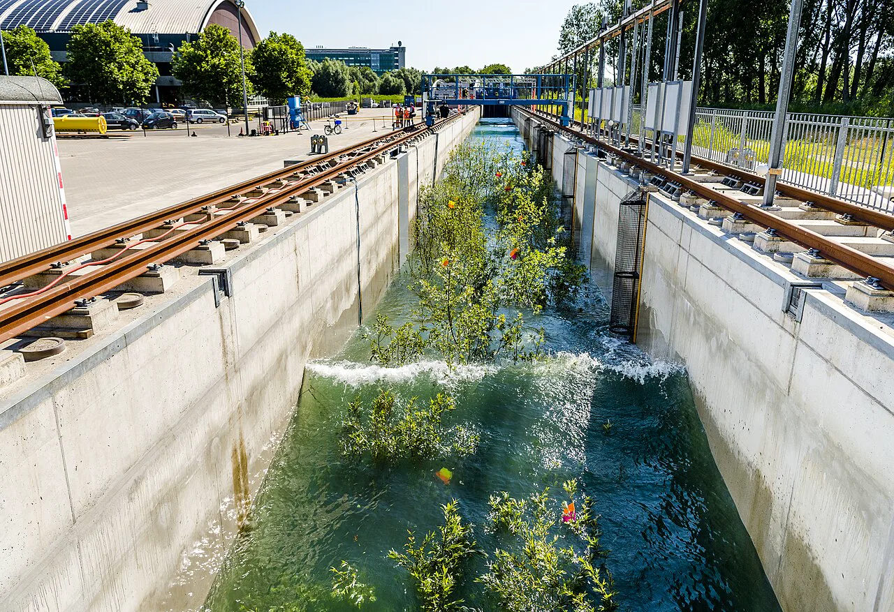 Deltares'ın Delft'teki Delta Flume kanalı, 2018'de söğütlerin dalgayı ne kadar kırdığını ölçen bir deney sırasında