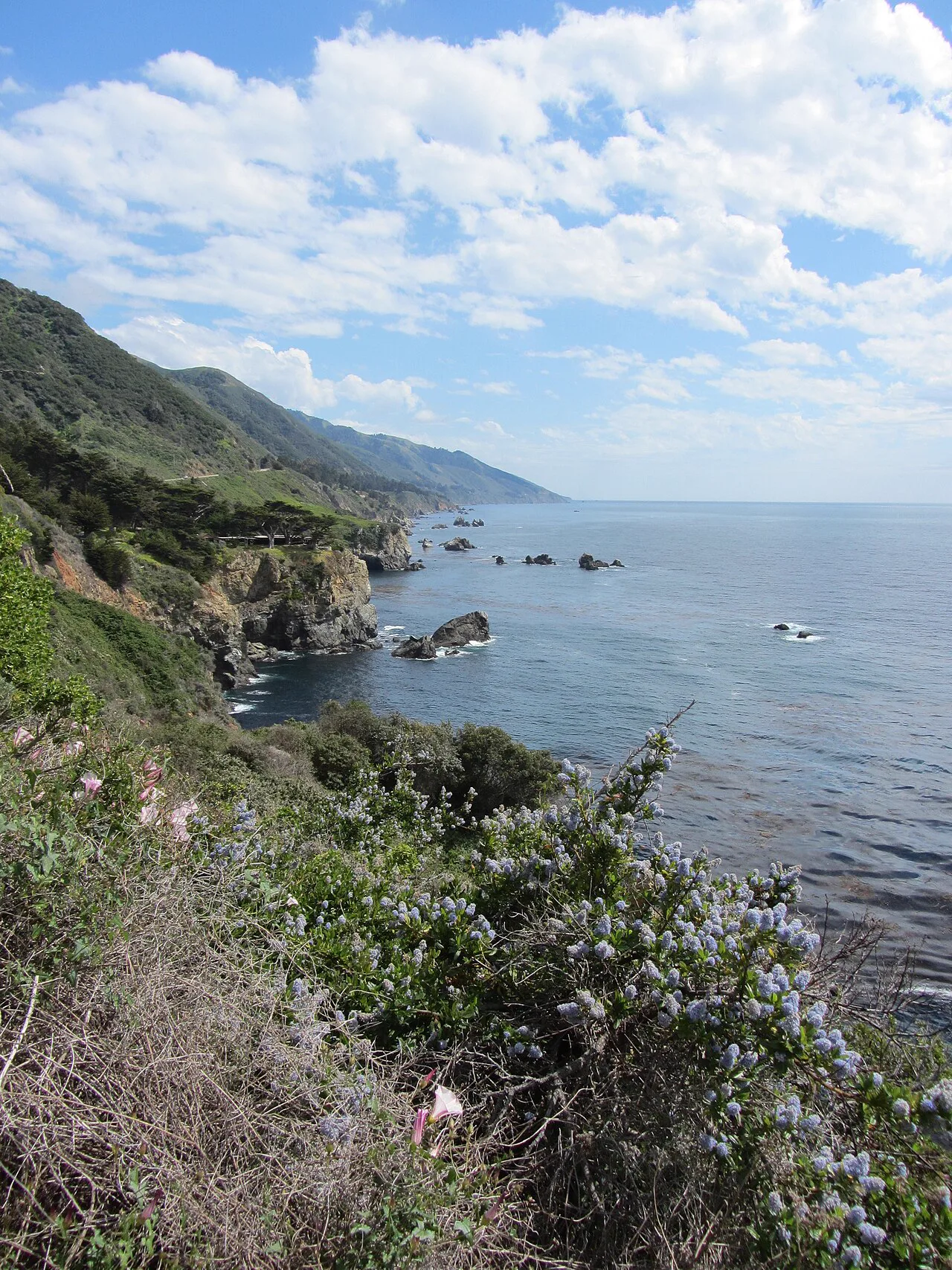 Kaliforniya'nın Big Sur kıyısındaki Esalen Enstitüsü, uçurumların üzerinde