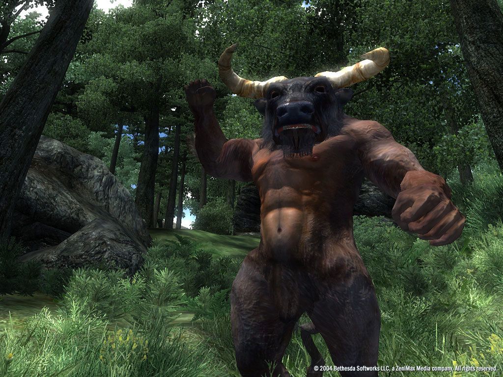 The Elder Scrolls IV: Oblivion® Game of the Year Edition Deluxe (2009) ekran görüntüsü 6