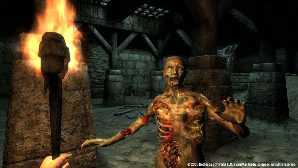 The Elder Scrolls IV: Oblivion® Game of the Year Edition (2009) ekran görüntüsü 5