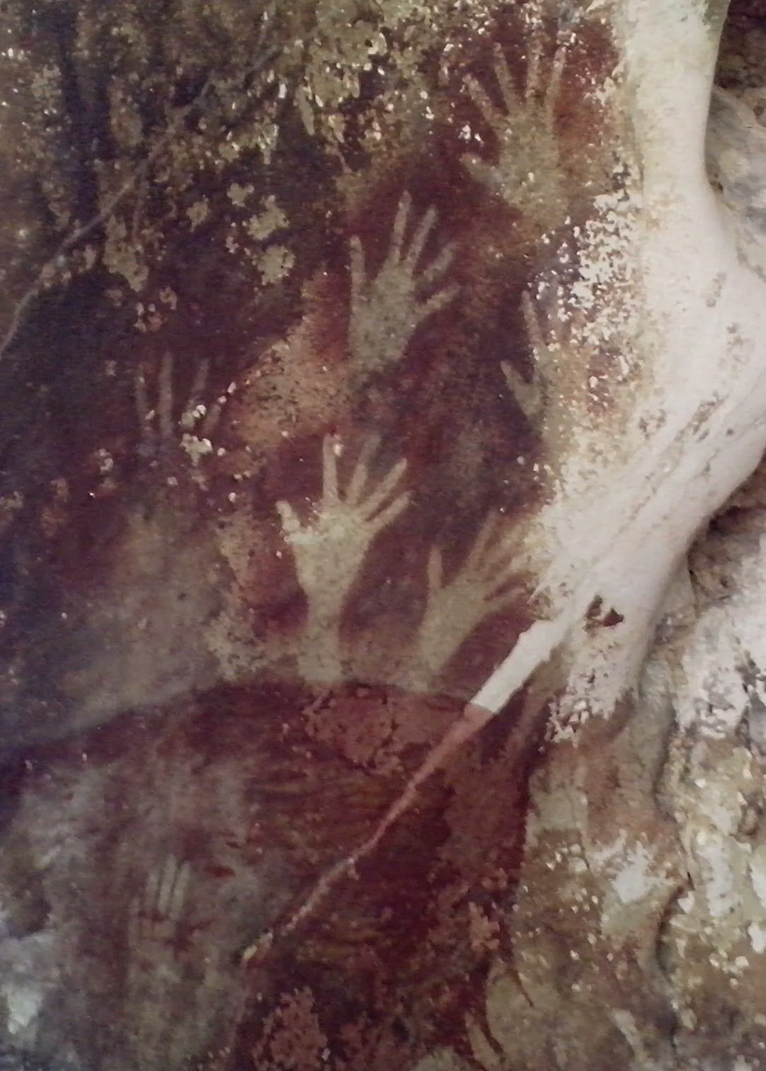 Sulawesi'nin Maros bölgesindeki Pettakere Mağarası'nda üst üste binmiş el şablonları