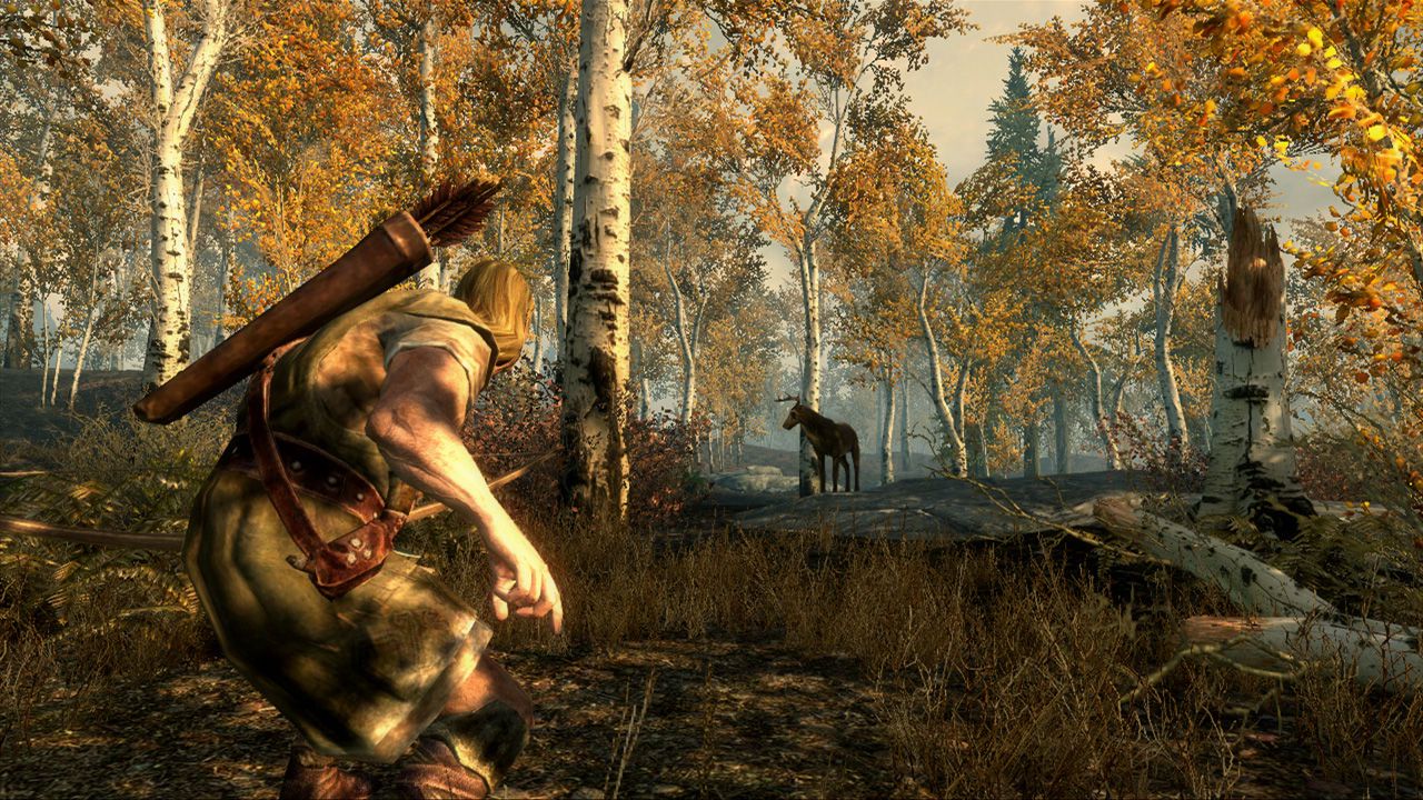 The Elder Scrolls V: Skyrim ekran görüntüsü 4