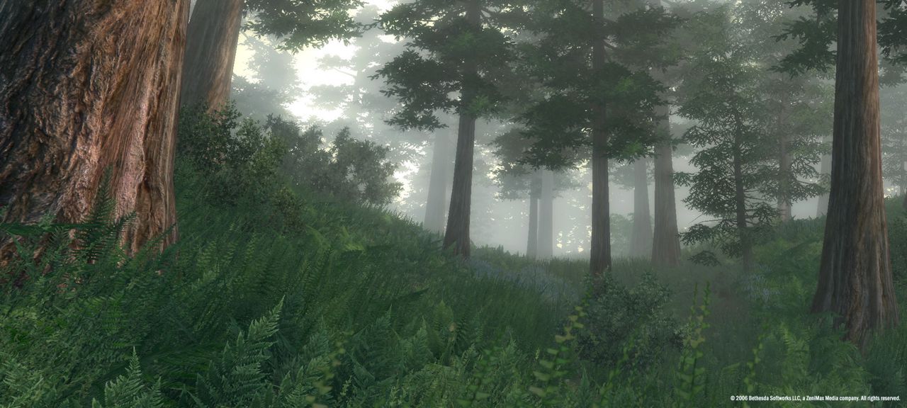 The Elder Scrolls IV: Oblivion® Game of the Year Edition (2009) ekran görüntüsü 0