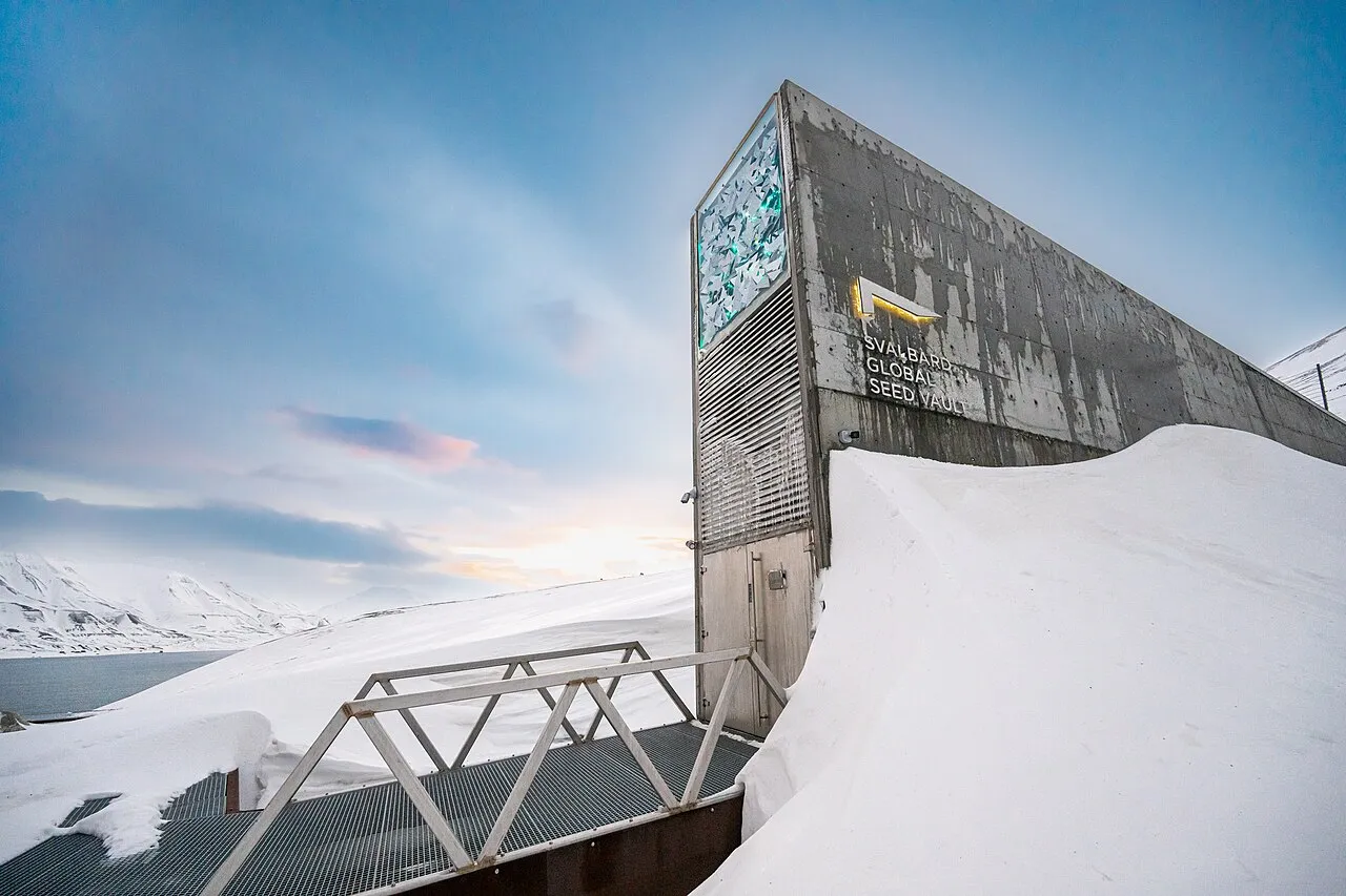 Kutupta Bir Ambar: Svalbard Tohum Deposu Neyi Bekliyor?