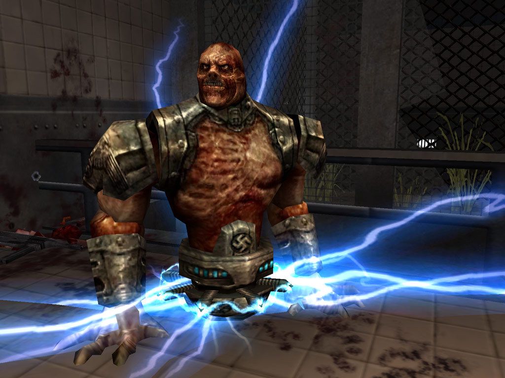 Return to Castle Wolfenstein ekran görüntüsü 1