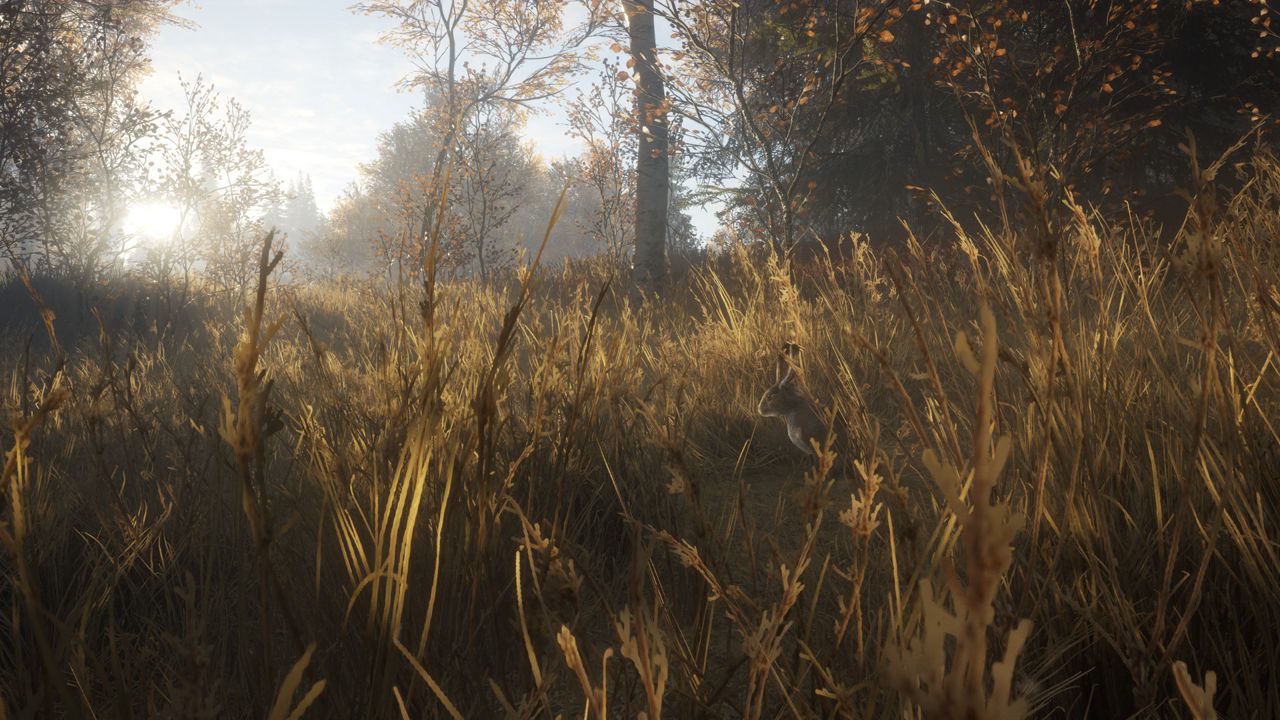 theHunter: Call of the Wild™ ekran görüntüsü 6