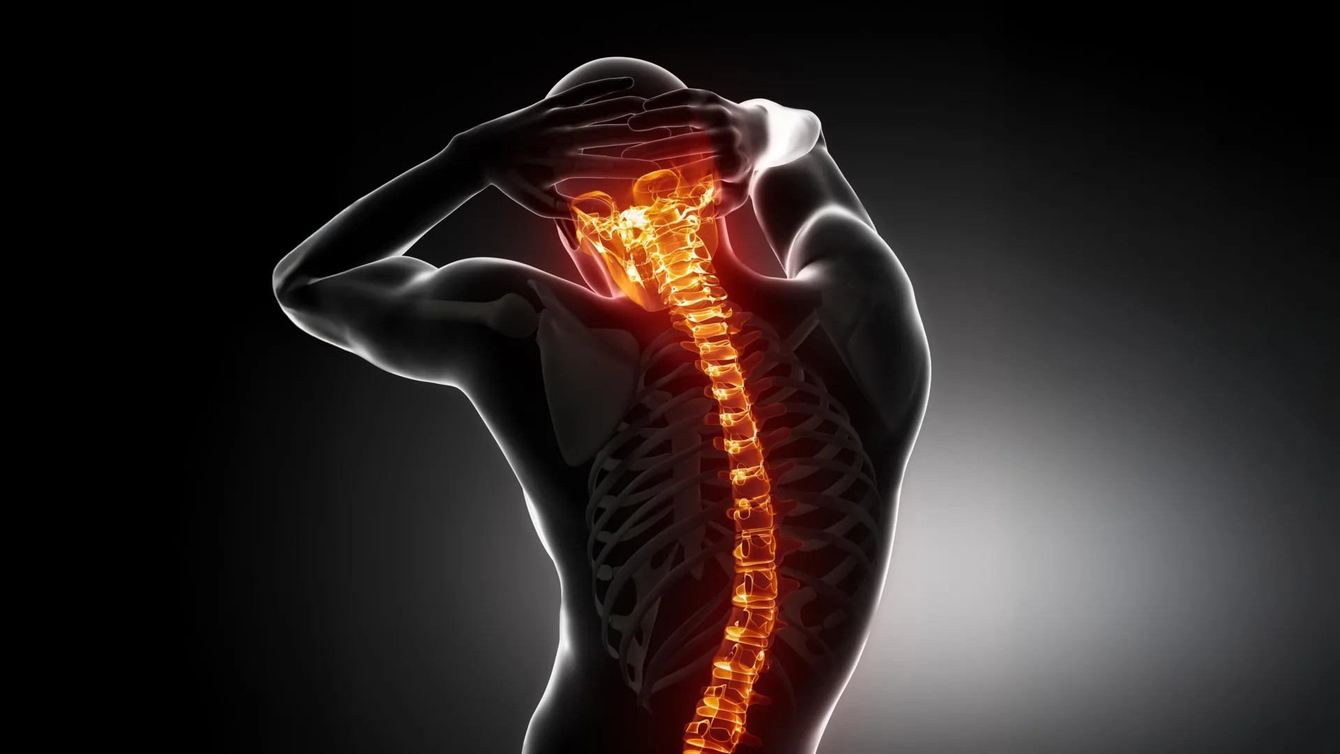 Omurga Sağlığına Yeni Umut: Osteoporoz İlacı, Omurilik Hasarını Engelliyor