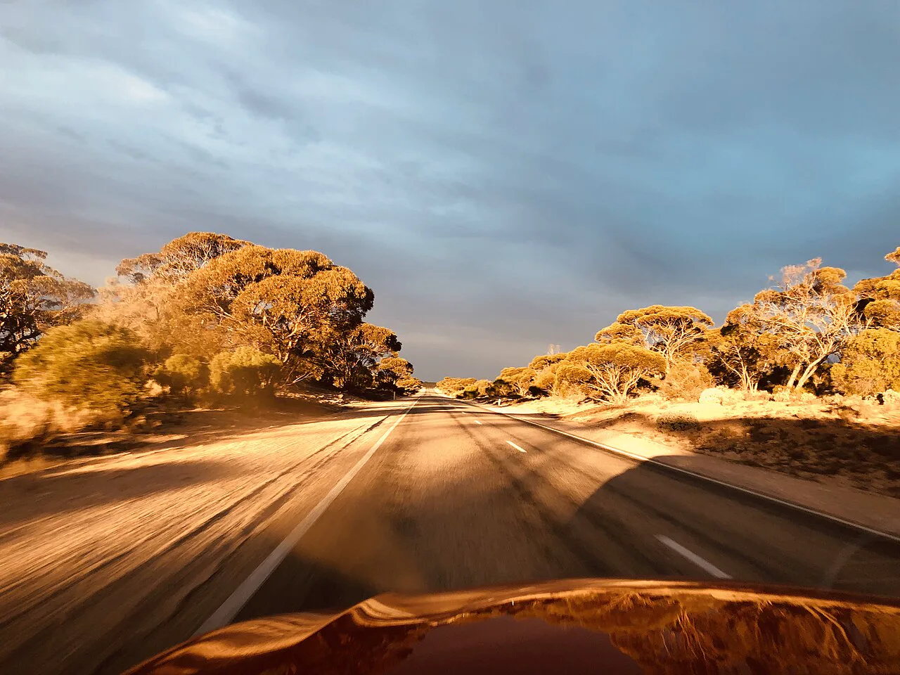 Nullarbor Ovası'nı çizen hendeklerin sırrı: çöken dev yeraltı mağaraları
