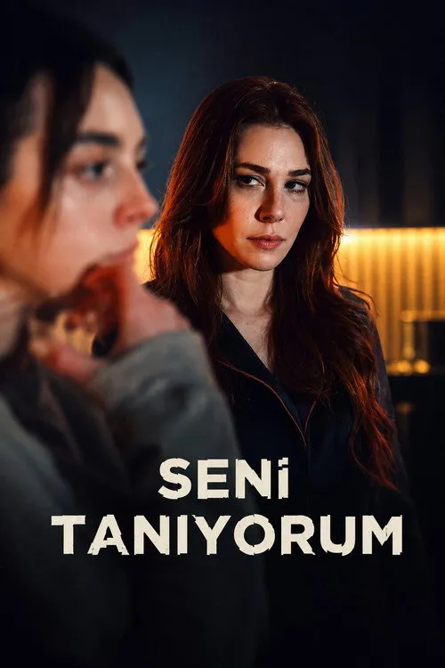 Seni Tanıyorum 1. sezon ne anlatıyor? Bölümler ve konusu