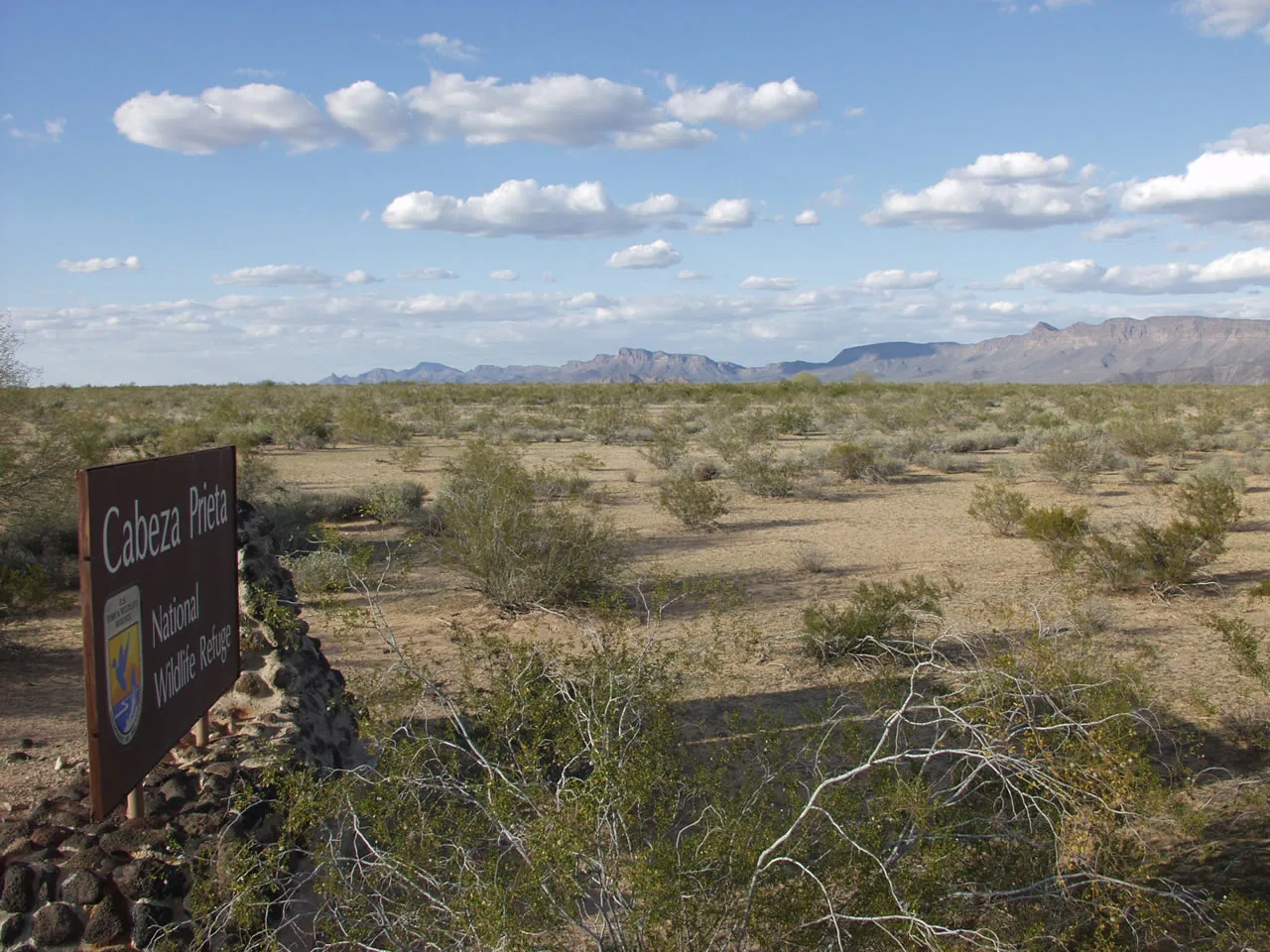 Cabeza Prieta çölüne giren El Camino del Diablo yolu, Arizona