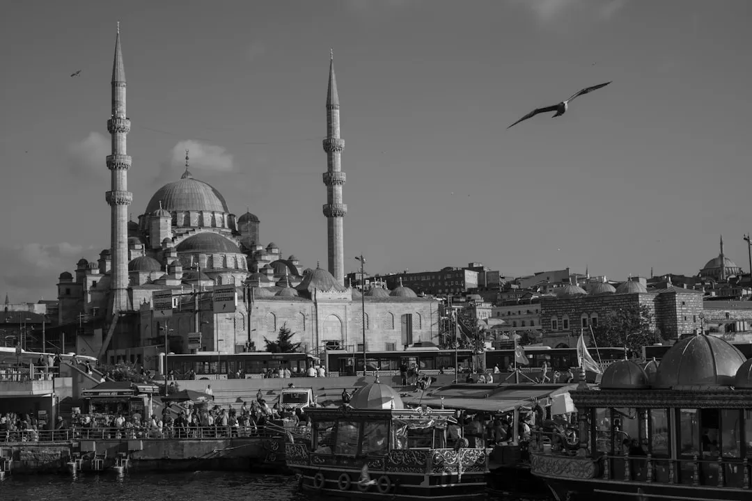 İstanbul Film Festivali’nden 3D Dönüşümü: ‘Gölgeler Arasında: Kızıl Çam Çiçeği’