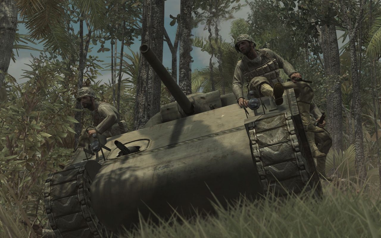 Call of Duty: World at War ekran görüntüsü 4