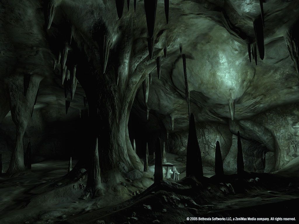 The Elder Scrolls IV: Oblivion® Game of the Year Edition Deluxe (2009) ekran görüntüsü 3