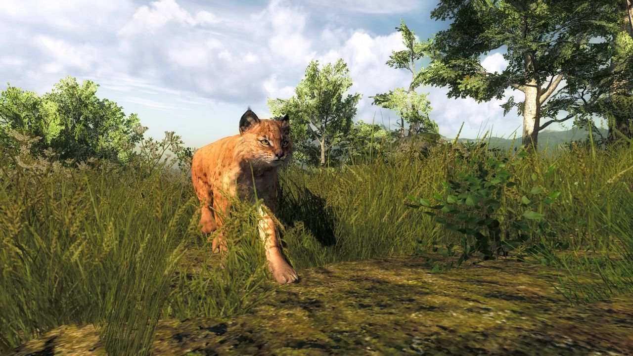 theHunter Classic ekran görüntüsü 7