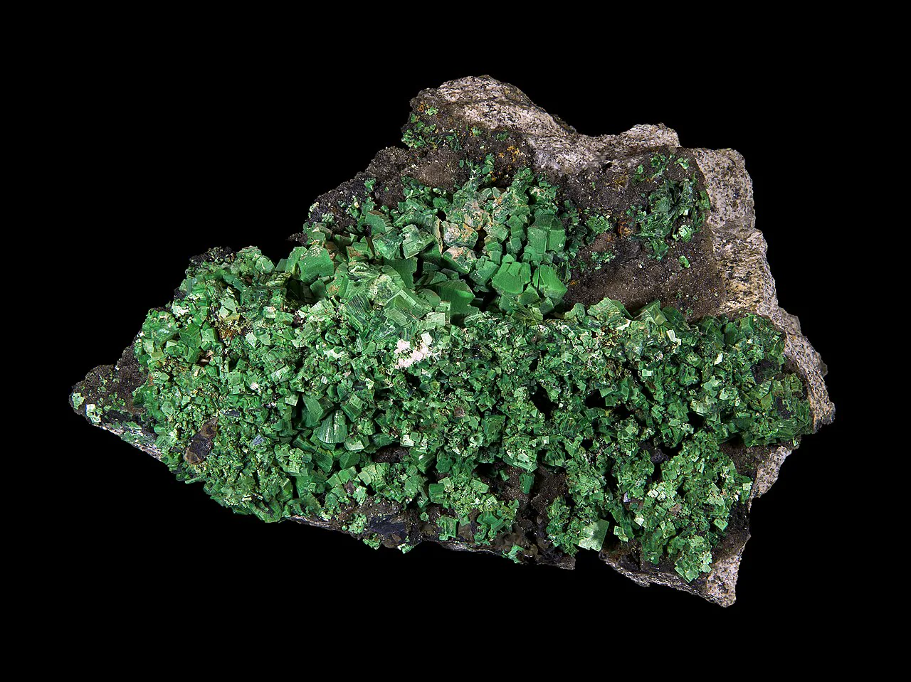 Fransa'daki Margabal madeninden yeşil torbernit kristalleri; Mount Painter'daki uranyumun ana taşıyıcısı da bu mineral