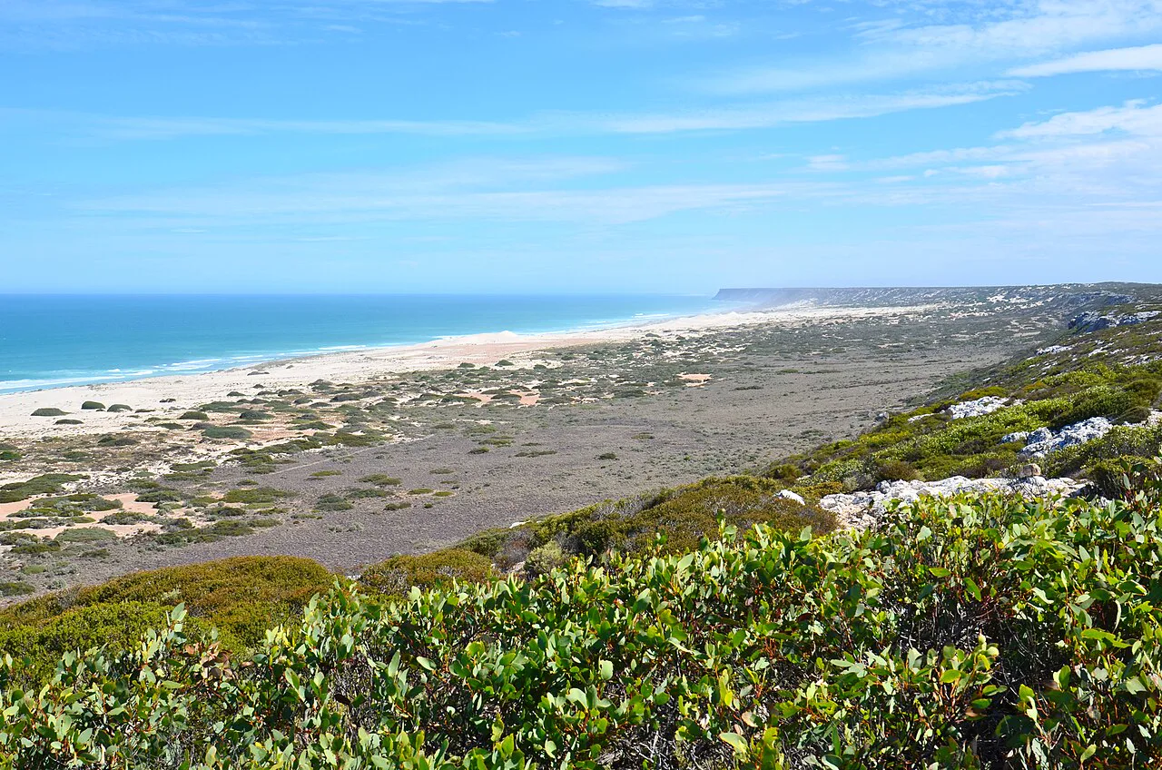 Nullarbor Ovası'nın güney kenarındaki Bunda Kayalıkları