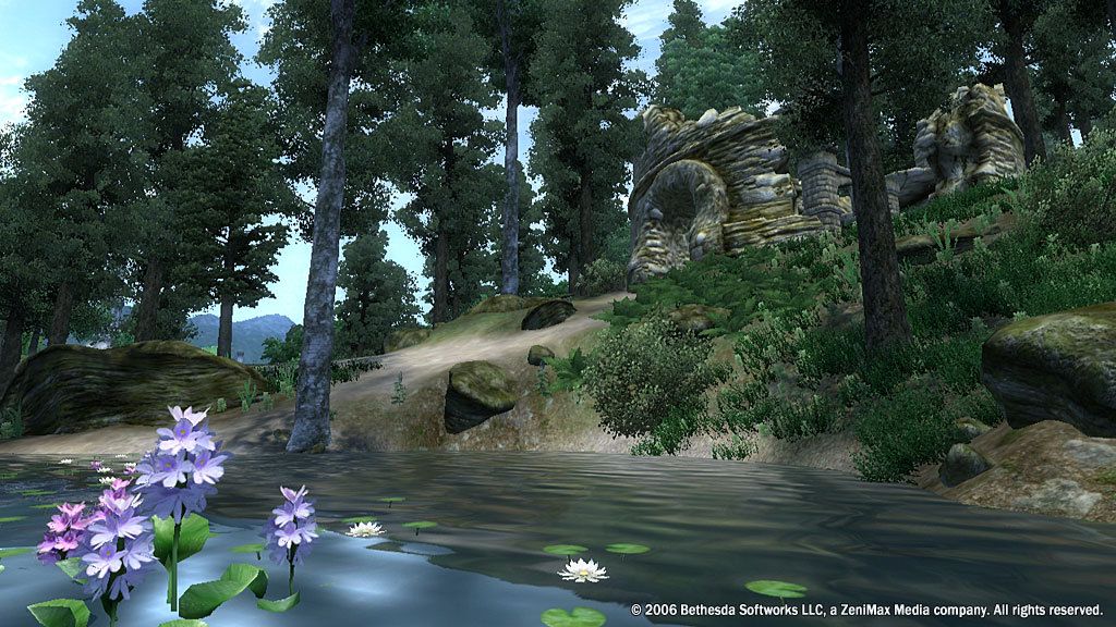 The Elder Scrolls IV: Oblivion® Game of the Year Edition (2009) ekran görüntüsü 2