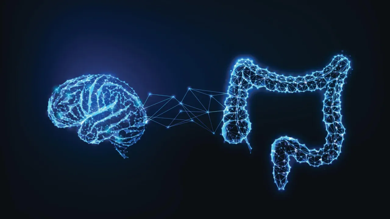 Bağırsak Bakterileri Ürettiği ImP Molekülü Alzheimer Riskini Artırabilir