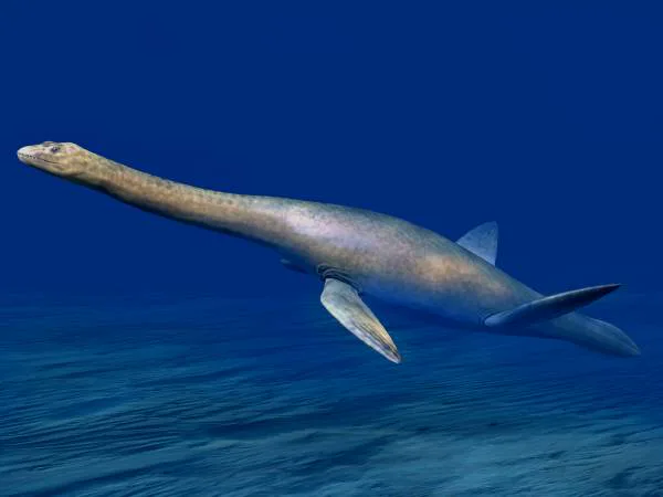 Cryptoclidus eurymerus'un yaşam rekonstrüksiyonu: uzun boyunlu, dört yüzgeçli bir Jura deniz sürüngeni