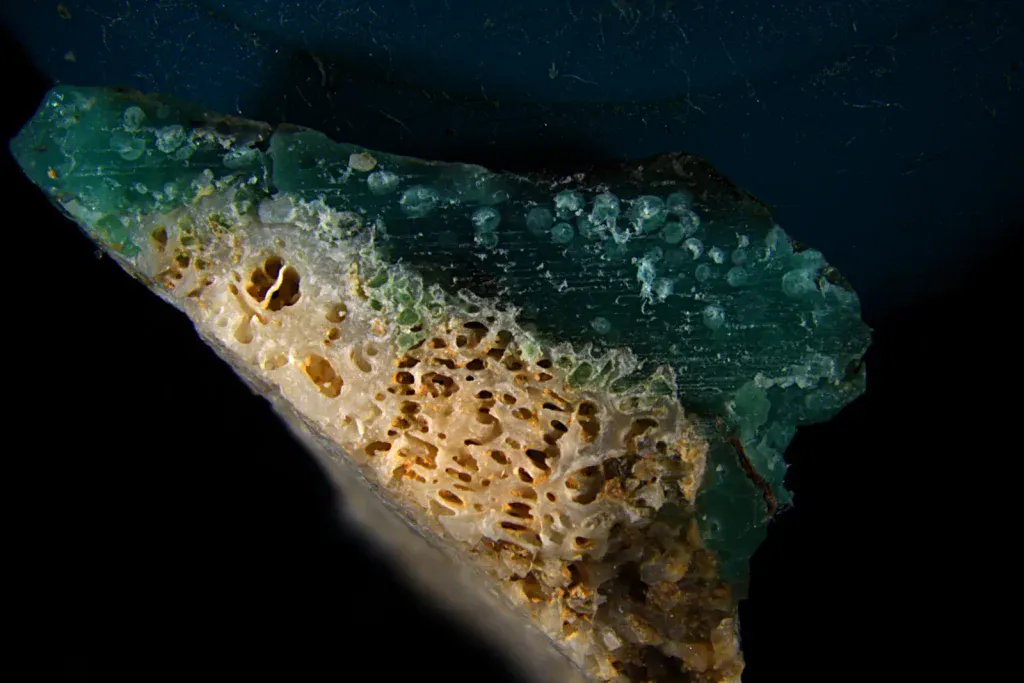 Okinawa’da Mercan ve Plastik Kaynaşması: Yeni ‘Plasticoral’ Kirlilik Türü Ortaya Çıktı