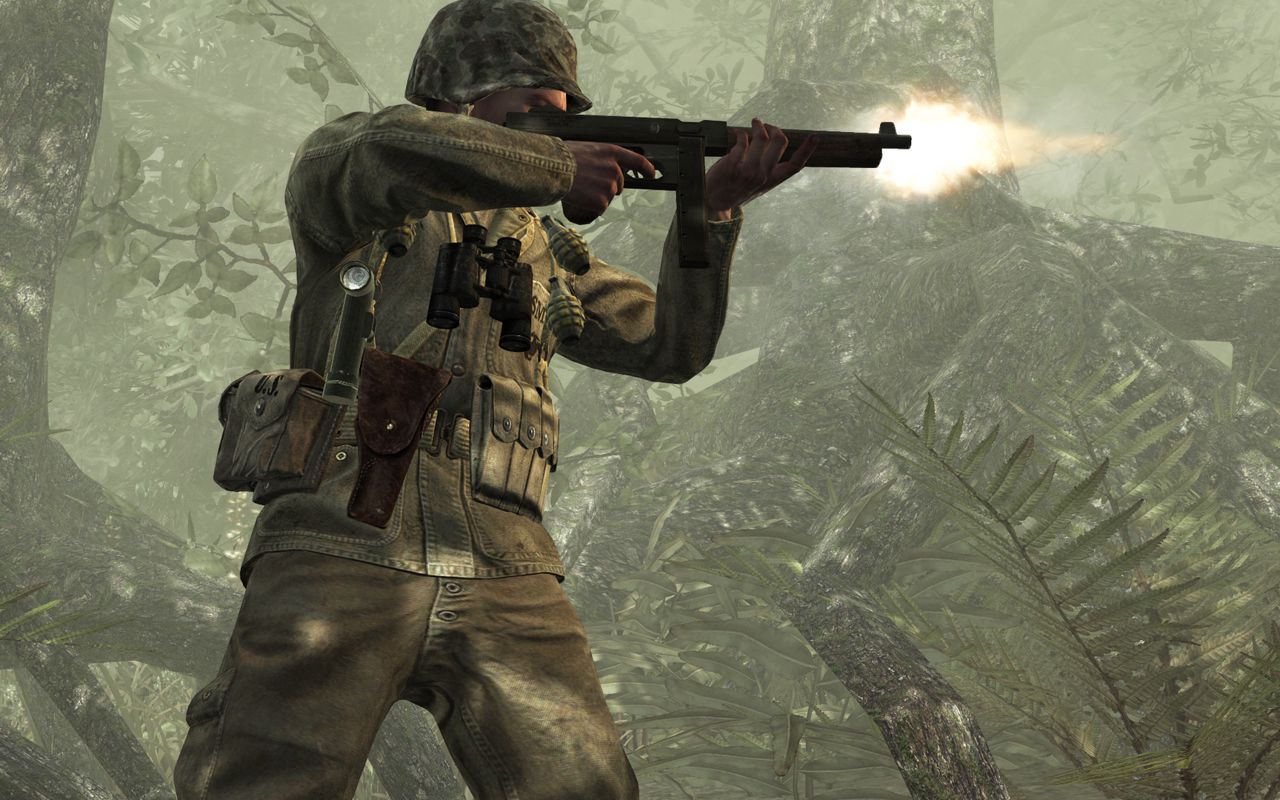 Call of Duty: World at War ekran görüntüsü 6