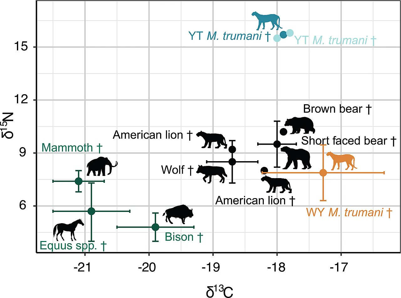 Yukon ve Wyoming örneklerinin karbon ve azot izotop değerlerini aynı dönemin faunasıyla karşılaştıran grafik