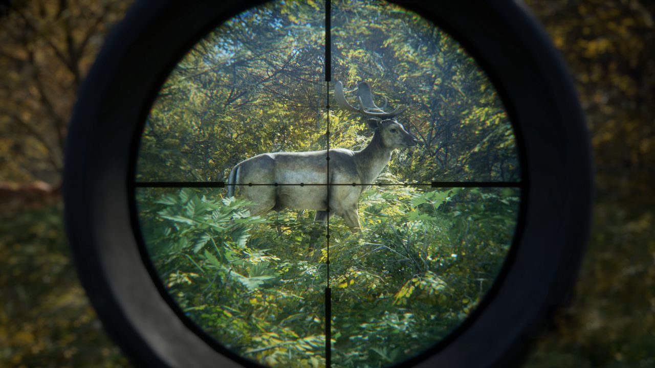 theHunter: Call of the Wild™ ekran görüntüsü 2