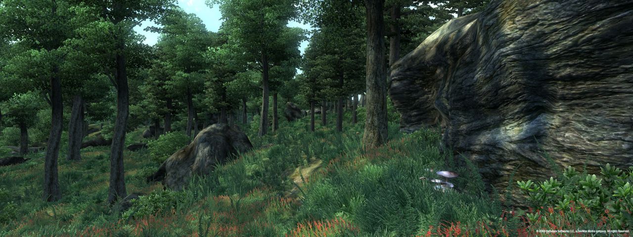 The Elder Scrolls IV: Oblivion® Game of the Year Edition (2009) ekran görüntüsü 1
