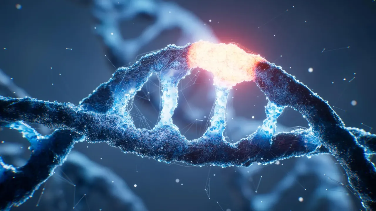 Yapay Zeka, İnsan DNA'sındaki "on switch"i Çözerek Gen Aktivasyonunun Şifresini Açtı