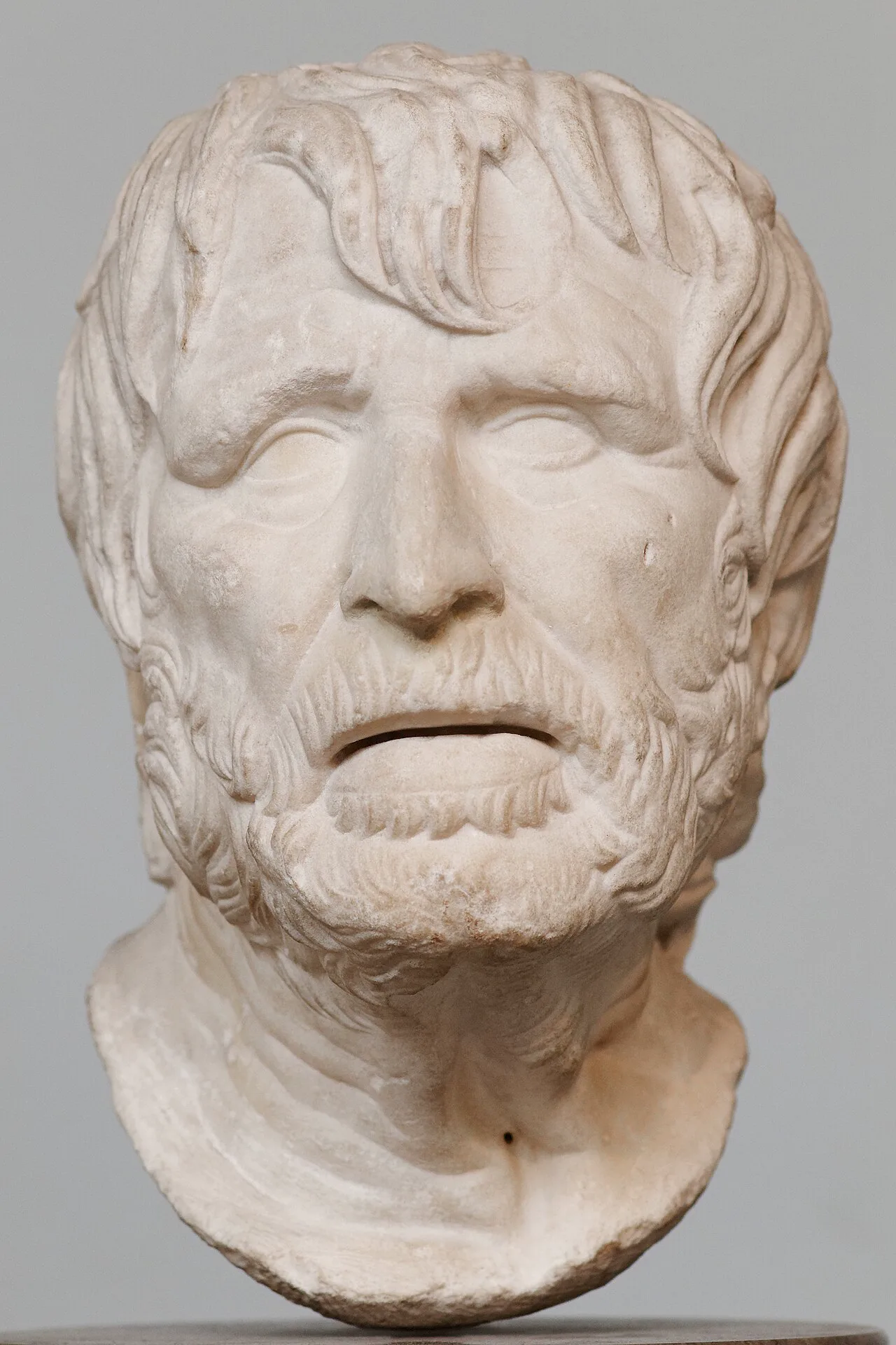 Uzun yıllar Seneca sanıldıktan sonra başka bir yazara ait olduğu anlaşılan büst